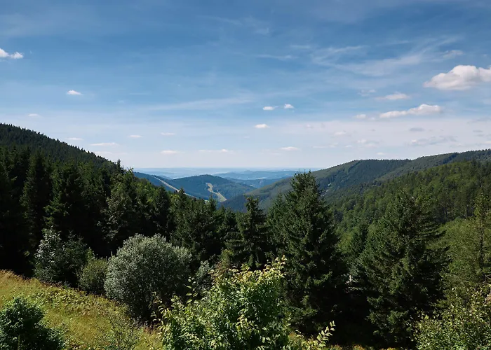 Cervenohorske Sedlo 3* Loučná nad Desnou